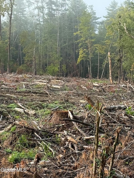 352 Dickinson Hill Rd, Bolton, NY 12824