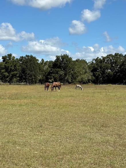 15330 NE County Road 349, Branford, FL 32008