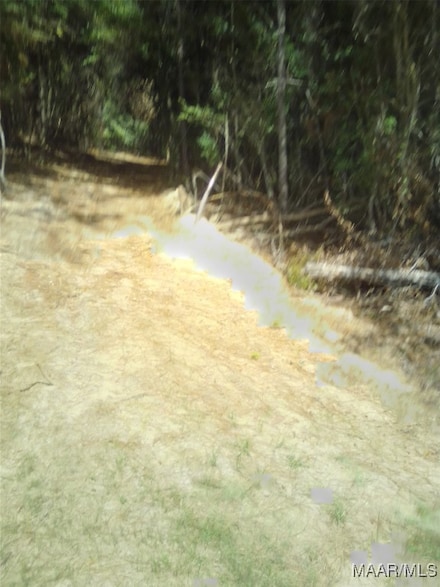 Lot 18 Lakeshore Dr, Tuskegee, AL 36083