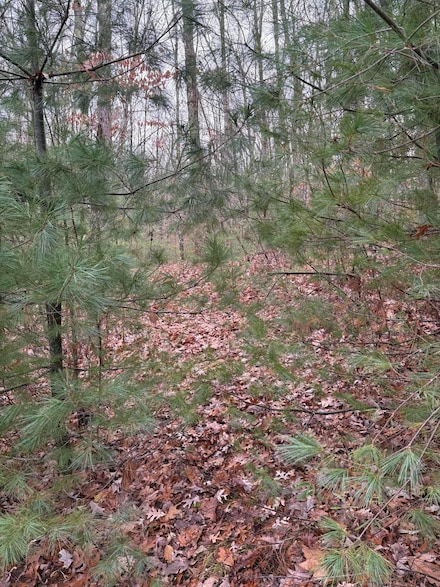 M11 Lot 02 Joseph Way, Waterboro, ME 04030