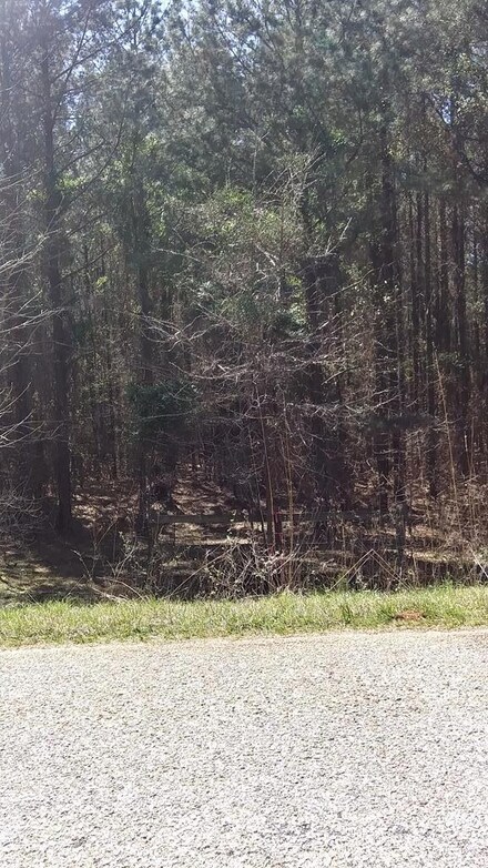 2514 Hwy 91 Fort Charlotte Rd, Mt. Carmel, SC 29840