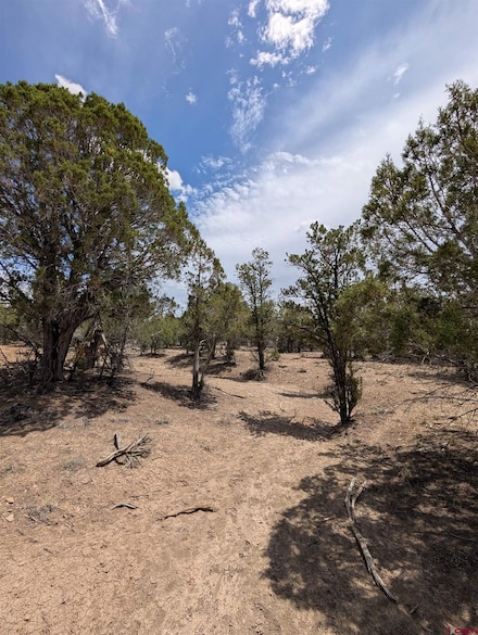 160 Cedar Dr, Pagosa Springs, CO 81147