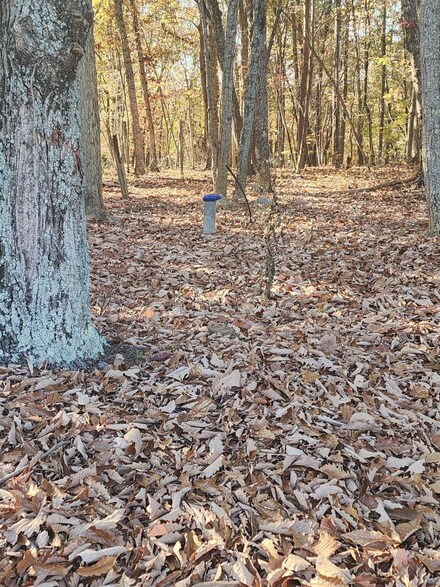 Lot 2 Candlers Mountain Rd, Rustburg, VA 24588