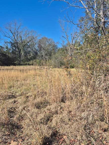 3195 Curtis Mixon Rd, Gordon, AL 36343