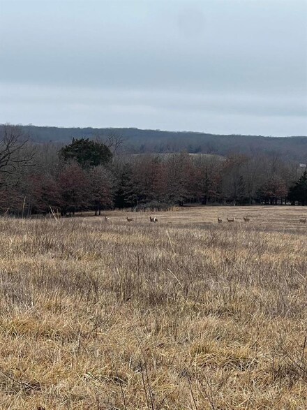 0 29 5 Acres Tract 7 Highway 72, Salem, MO 65560