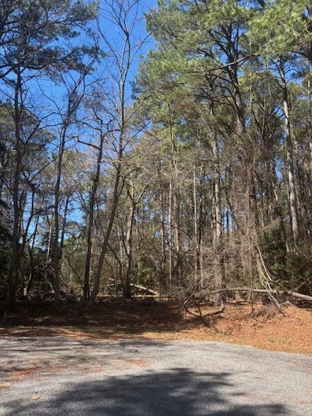 Lot 62 Spoonbill Ln Unit 62, MacHipongo, VA 23405