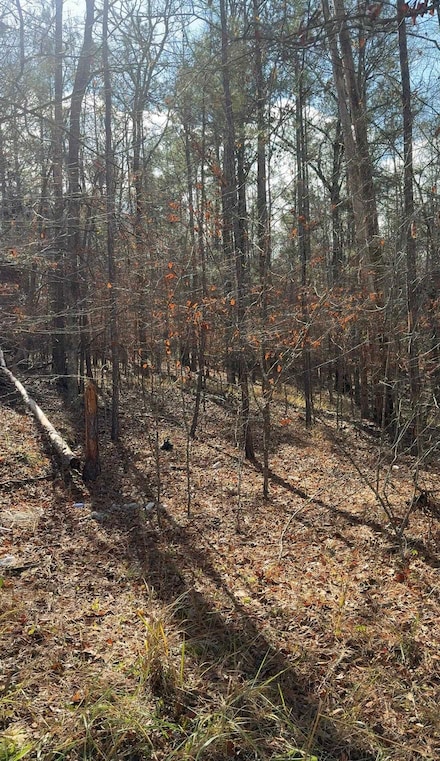 LOT 182 Bluegill Rd, Eatonton, GA 31024