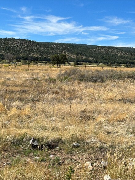 Tract 2-2A Hwy 110, El Rito, NM 87530