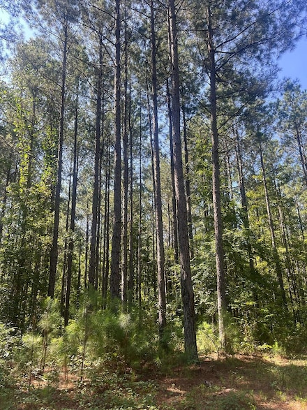 0 Notnomis Rd Unit 22065434, Franklin, GA 30217