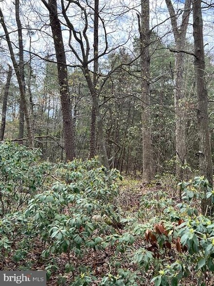 0 Stone Ave Unit NJCB2021776, Millville, NJ 08332