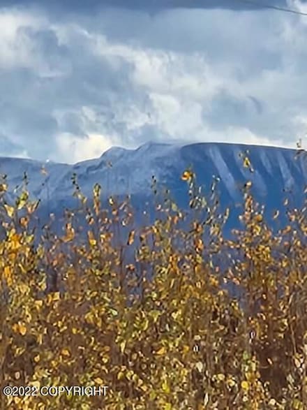 18768 Mae Loop, Willow, AK 99688