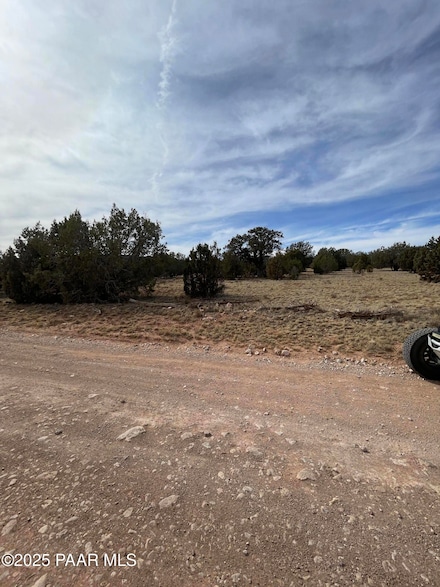 54372 Via de Oro Pkwy, Seligman, AZ 86337