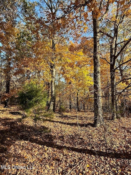 8 Mill Pond Rd, Lamar, MS 38642