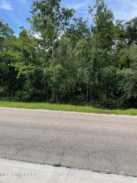 0 W North St, Pass Christian, MS 39571