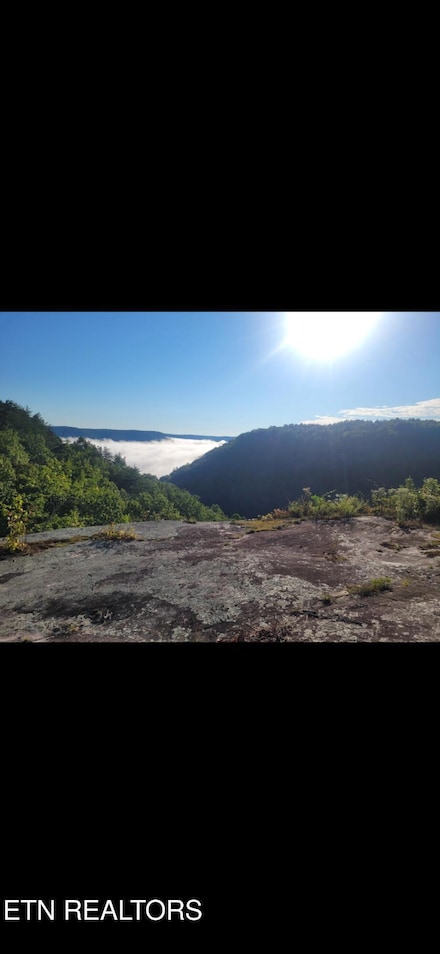 0 Big Piney Loop Unit 1305889, Wilder, TN 38589