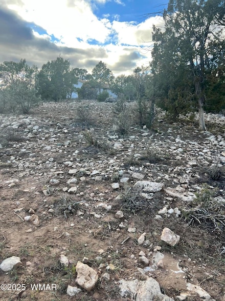 2820 Pine Hill Dr, Overgaard, AZ 85933