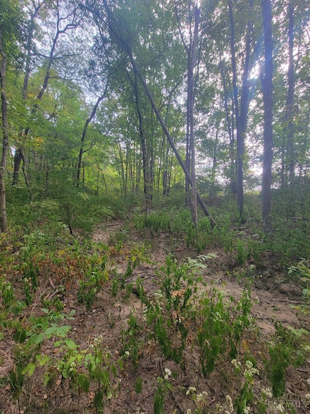 5 Fischer Rd, Clarksville, OH 45113