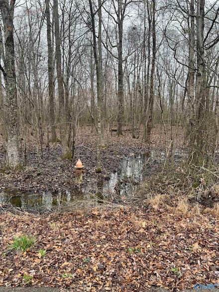 Lot 17 Jessica Dr, Toney, AL 35773