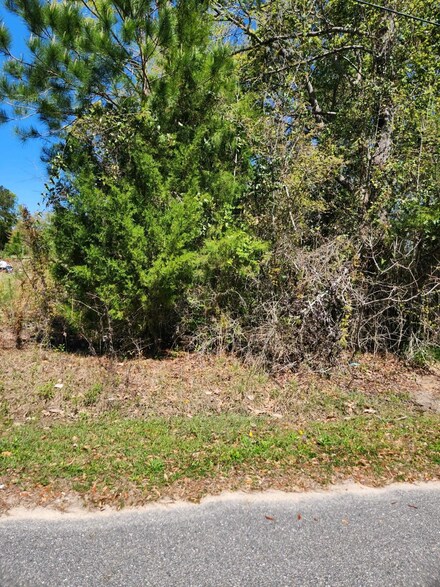 XX NW Camellia St, Bristol, FL 32321