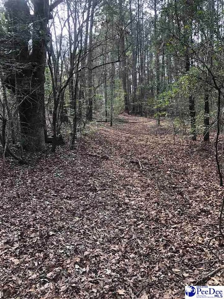 917 Belle Aire St, Society Hill, SC 29593