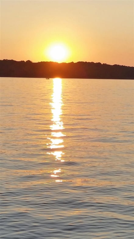 447 Lake Ridge Rd Unit Lot 20, Scottsville, KY 42164