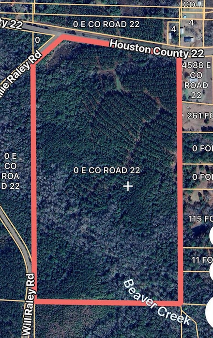 0 County Road 22, Headland, AL 36345