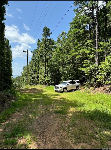 2475 Holly Mountain Rd, Clinton, AR 72031