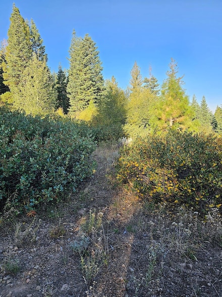 Nka, Lakeview, OR 97630