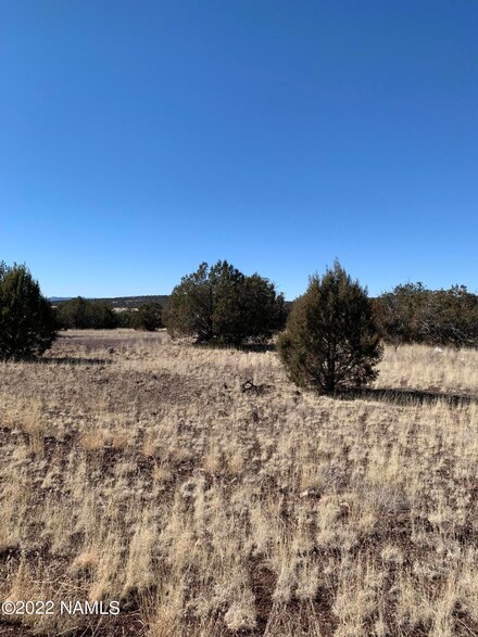 2196 N Core Ave, Ash Fork, AZ 86320