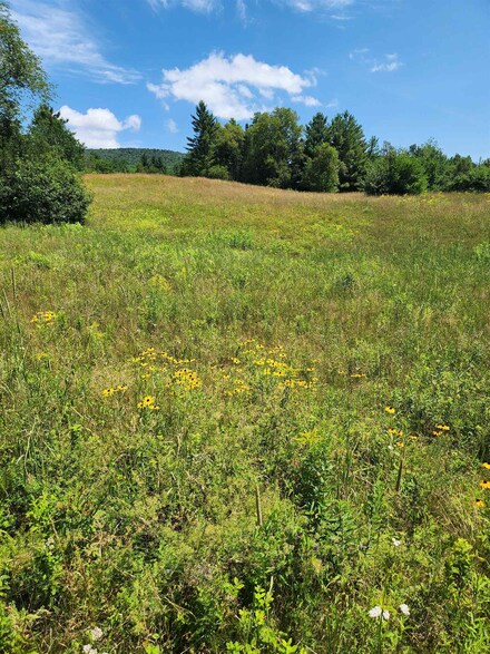 0 Route 115 Unit 5036490, Carroll, NH 03595