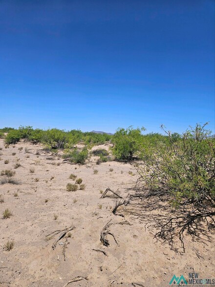 XXXX Monte Rd SE, Deming, NM 88030
