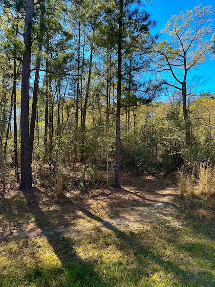 LOT 48 Donald Rd, Leesburg, GA 31763