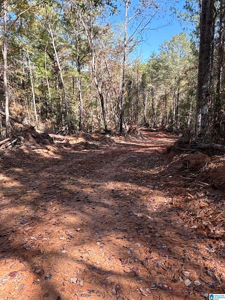 0 Bibb County 9 Unit 21439274, West Blocton, AL 35184