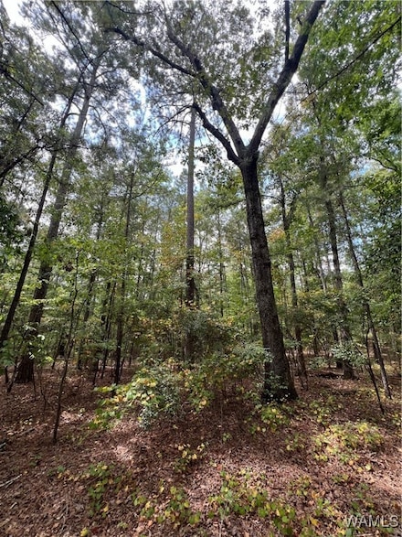 0 Jim Jones Rd, Cottondale, AL 35453