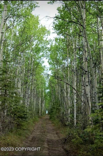 0000 No Road (Near Rexana Rd), Clear, AK 99000