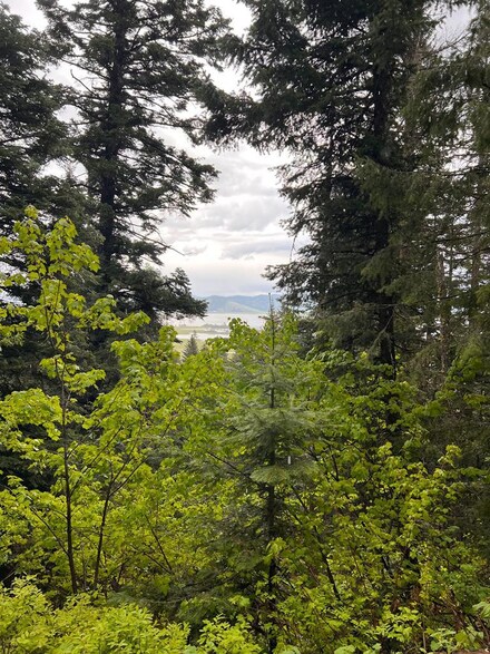 TBD Bear Rock Trail Unit 36, Cascade, ID 83611