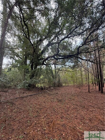 91 Phillipsville Rd, Fleming, GA 31309