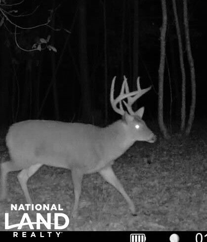 0 Old Hwy 51 NE, Brookhaven, MS 39601