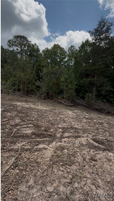 15 Davidson Rd, Reform, AL 35481