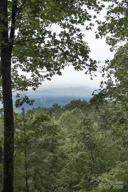 0 Running Deer Trail Unit 79 CAR4168872, Mills River, NC 28742