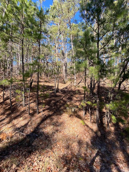 38 Surtidor Ln, Hot Springs Village, AR 71909