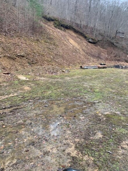.50 Brewer Hollow Rd Unit off Marrowbone Creek, Kermit, WV 25674