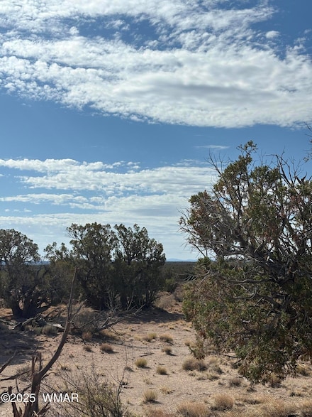 8580 D Lawson Ln, Snowflake, AZ 85937