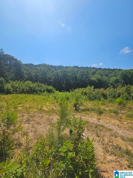 0 County Road 12 Unit 21395135, Odenville, AL 35120