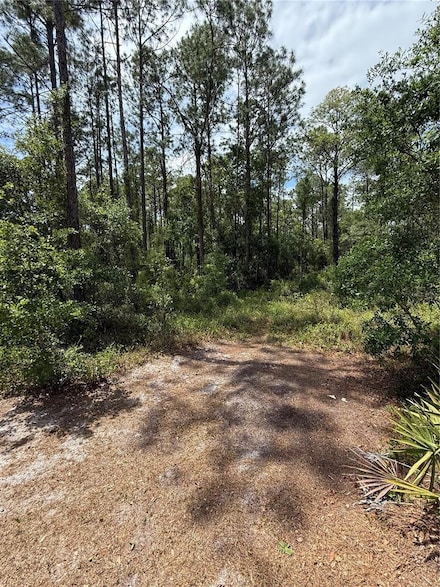 TBD NE 156th Ln, Fort Mc Coy, FL 32134