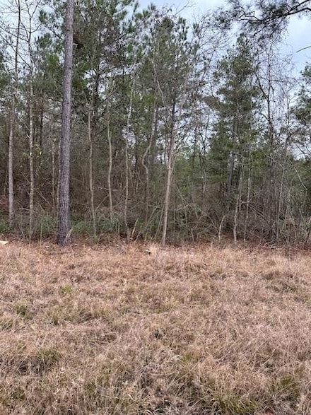 0 Salco Rd Unit 7523880, Axis, AL 36505