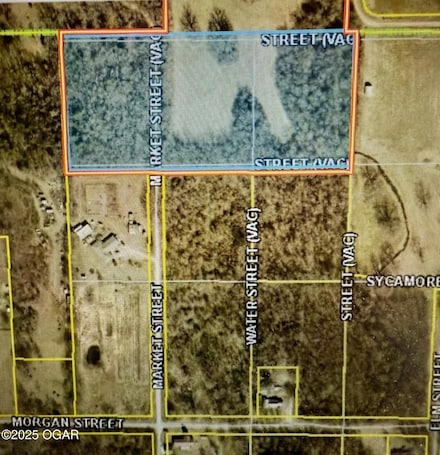 XXX-C Teal, Newtonia, MO 64853