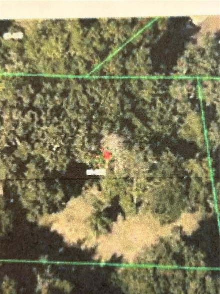 6641 Pope Rd, Lockhart, FL 32810