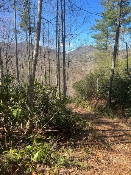 208 Ivy Ridge Cir, Sylva, NC 28779
