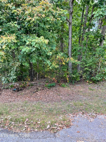 143 Shelley Ln, Crossville, TN 38558
